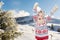 Happy young girl snowboarding, skiing in background