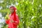 happy young Indian farmer showing corn fruit at field