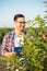 Happy young male agronomist or farmer inspecting young trees in a fruit orchard