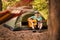 Happy young man camping and strum a guitar instrumental music to relax against background of forest sunset. Wilderness Travel