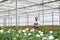 Happy young man standing in greenhouse near plants