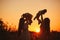 Happy young moms playing with their kids outdoors in summer. Happy family time together concept. selective focus