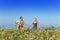 The happy young pair in the field of chamomiles.Portrait in a sunny day