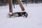 Happy young siberian husky is playing in the playground, on cold winter day, ground full of snow