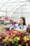 Happy young smiling female working with flowers at greenhouse holding box multicolored plants