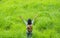 Happy young traveler woman backpacker raised arm up to sky enjoy