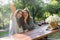 Happy young two women sitting outdoors in park drinking wine