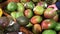 Happy young woman customer choosing ripe mango fruit on market. woman picking up, choosing fruits, mango. girl with