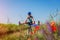 Happy young woman cyclist riding a mountain bicycle in summer field. Girl having fun lifting legs