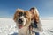 Happy young woman and her Caucasian Shepherd dog are hugging on the snow outside