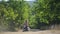 happy young woman owner playing with her small pet chihuahua dog in green outdoor park during leisure activity