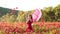 Happy young woman play with poppy petals. Relaxing and provence. Lovely young romantic woman smiling on blooming field.