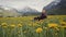 Happy young woman sits on spring dandelions meadow, majestic mountains are in the background. Side view