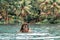 Happy young woman in a tropical infinity pool. Luxury resort on Bali island.