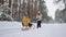 happy young woman is walking with her little child in winter forest, son is sitting in wooden sleigh