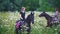 Happy young women ride on black horseback in the field with flowers