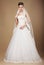 Happyl Bride in White Long Dress and Viel