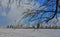 Harbin cityscape with ice river