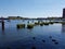 Harbor with buildings and dragon paddle boats