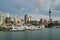 Harbor with multiple boats against the skyline of Auckland. New Zealand.