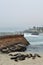 Harbor Seals of La Jolla