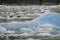 Harbor Seals on a LeConte Glacier Ice Flow