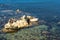 Harbor seals on the rocks in Monterey, California