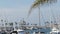 Harbor village, yachts sailboats in marina. Nautical vessels in sea port. Oceanside, California USA.