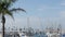 Harbor village, yachts sailboats in marina. Nautical vessels in sea port. Oceanside, California USA.