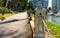 A harborside promenade with bollards