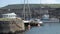 Harbour with boats docked in Irish town