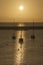 Harbour boats sunrise silhouette