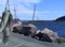 Harbour entrance fishing village Petty Harbour Maddox Cove