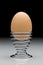 Hard Boiled Egg