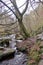 Hardcastle Crags, West Yorskhire