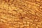 Hardwood Background and Texture - Golden Cracks of Beauty