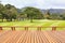 Hardwood decking or flooring and view of green field in golf course. Garden decorative