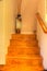 Hardwood stairs with recessed lighting