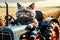 hardworking cat driving a tractor in the field, tractor driver