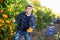 Hardworking farmer guy plucks tangerines from a tree