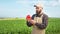 Hardworking farmer standing on field, harvesting, admiring pepper.