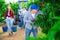 Hardworking male farmer carefully picks cherries on a tree