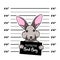 Hare bad boy. Bunny criminal. Arrest photo. Police records. Hare prison. Police mugshot background. Vector.