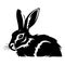 hare black icon on a white background.