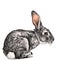 The hare in full growth sits sideways sketch vector