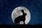 Hare silhouette in the moonlit starry sky