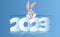 Hare symbol of 2023.
