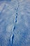 Hare tracks in the snow