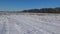 Hare tracks in the snow