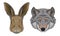 Hare and Wolf Muzzle with Fur Vector Set